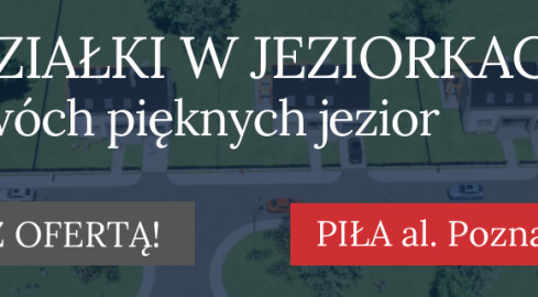 Nietypowa akcja strażaków. Zobaczcie, gdzie utknął dzięcioł - grafika