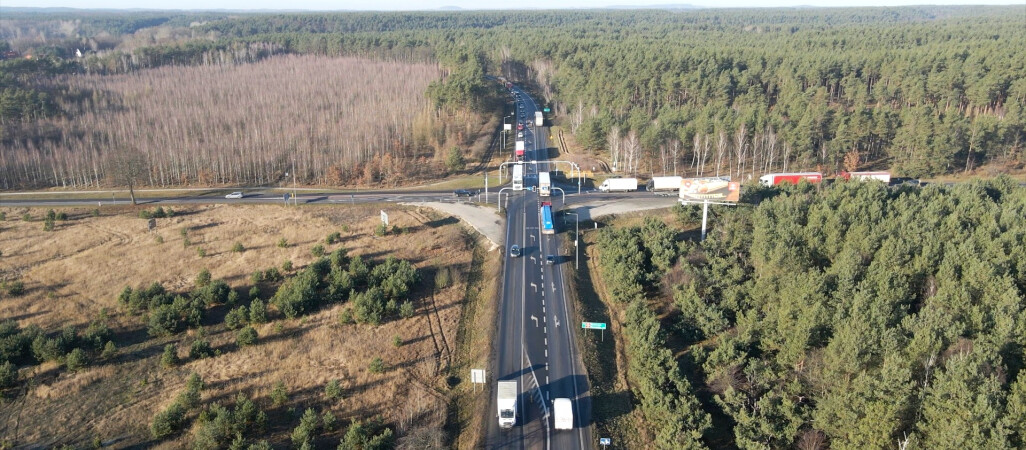 Dziesiątki tysięcy drzew pójdą pod topór