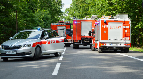 Wypadek na DK 11. Nie żyje dziecko [AKTUALIZACJA] - grafika