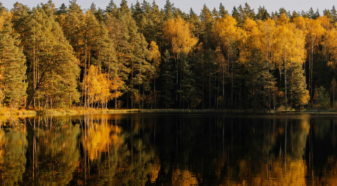 Zmiany pogodowe na przełomie października i listopada. Co nas czeka?